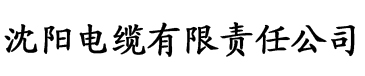 母上攻略(白虎同人)电缆厂logo